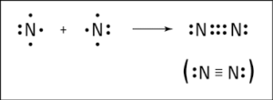 N2-অণুতে-সমযােজী-বন্ধন