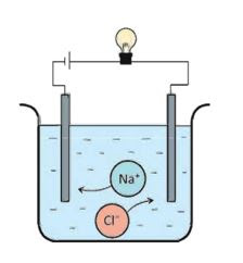 খাদ্য লবণ (NaCl) এর জলীয় দ্রবণে বিদ্যুৎ পরিবহন